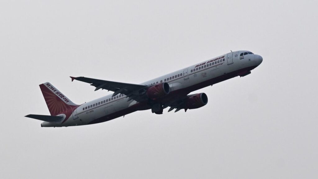 Delhi-Pune Air India flight suffers bird hit, return journey cancelled
