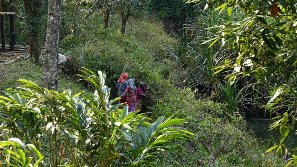 Gavi reopens to tourists after brief shutdown