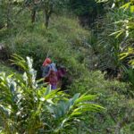 Gavi reopens to tourists after brief shutdown