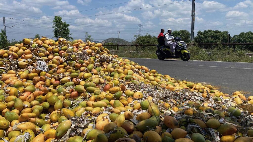 Uncertainty dogs mango business in erstwhile Chittoor district of A.P.