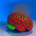 The Alzheimer’s drug pipeline is healthier than you might think