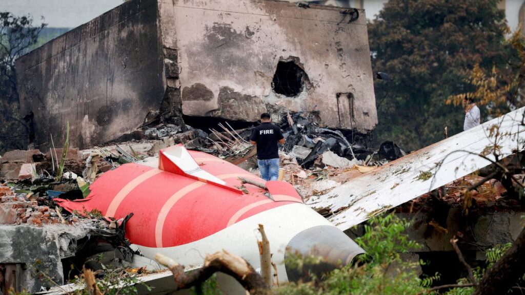 History of air crash probes shows investigators disagree on pilot complicity
