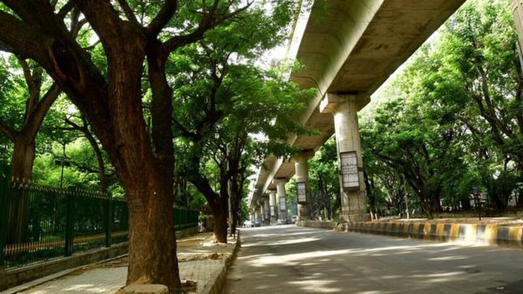 After six-year delay, Bengaluru tree census gathers momentum