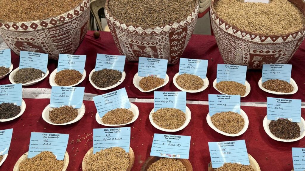 Govt. urged to extend institutional support for farmer-bred paddy varieties through Raitha Samparka Kendras