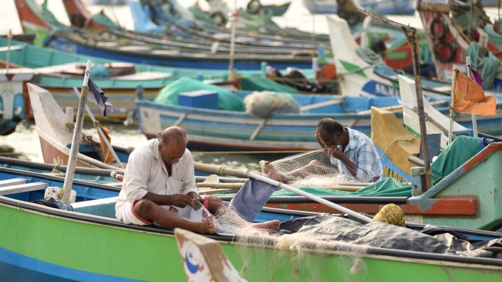 Small-scale fishers seek rollback of unified licence fee