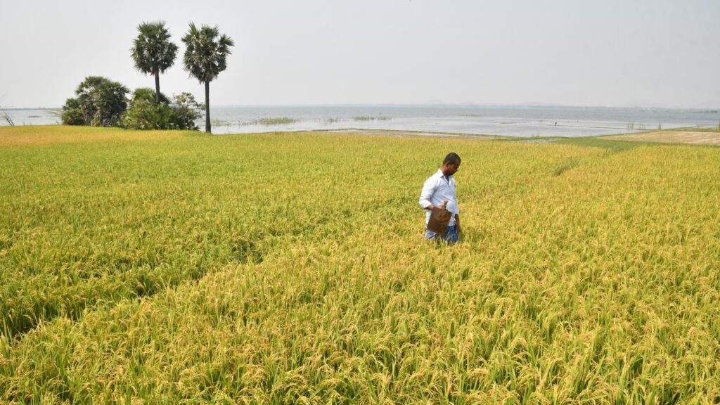 Government merges 36 schemes to float farm programme