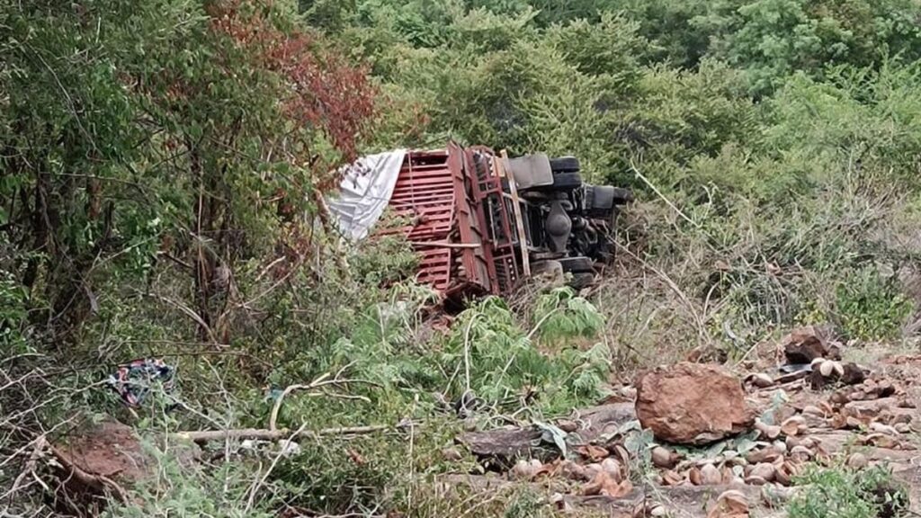 Two injured as lorry falls into 60-foot gorge in Erode’s Bargur Hills