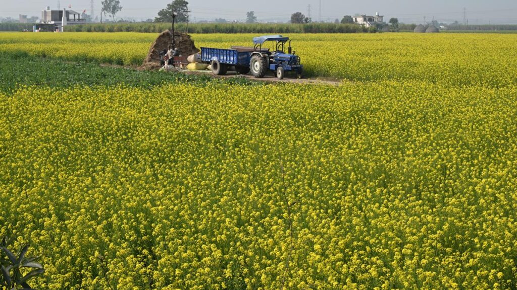 GTRI cautions against imports of GM farm products from U.S.; may affect India’s agricultural exports