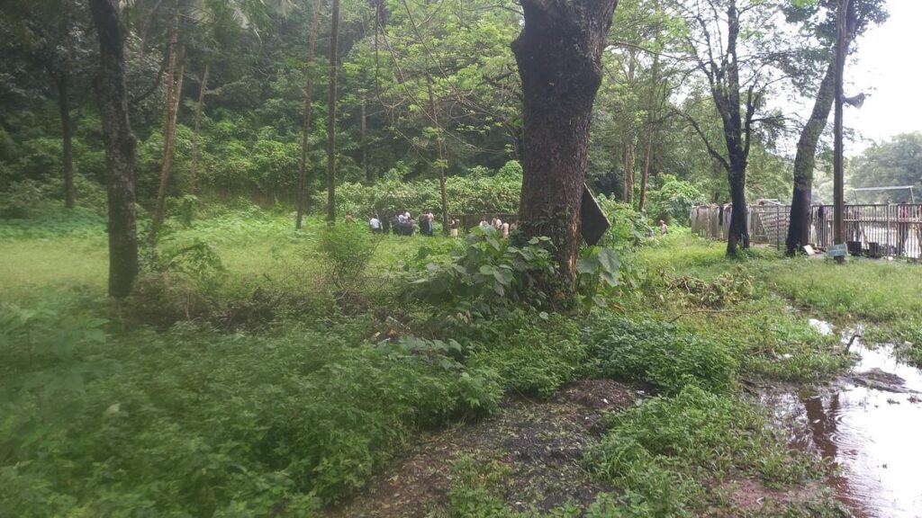 Dharmasthala burials: Process of exhuming bodies begins