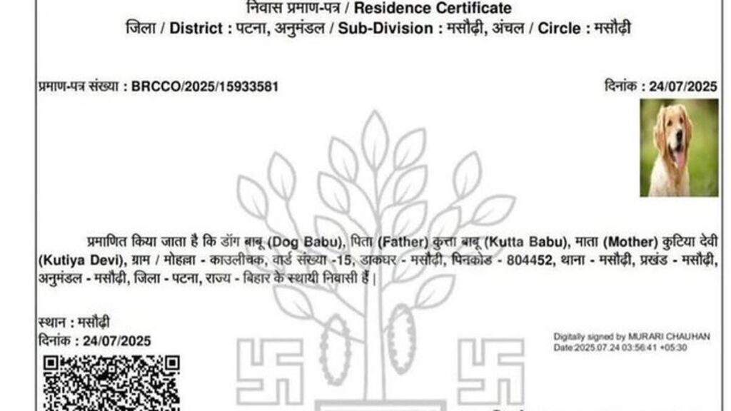 ‘Dog Babu’ issued residence certificate in Bihar’s SIR process, DM orders probe