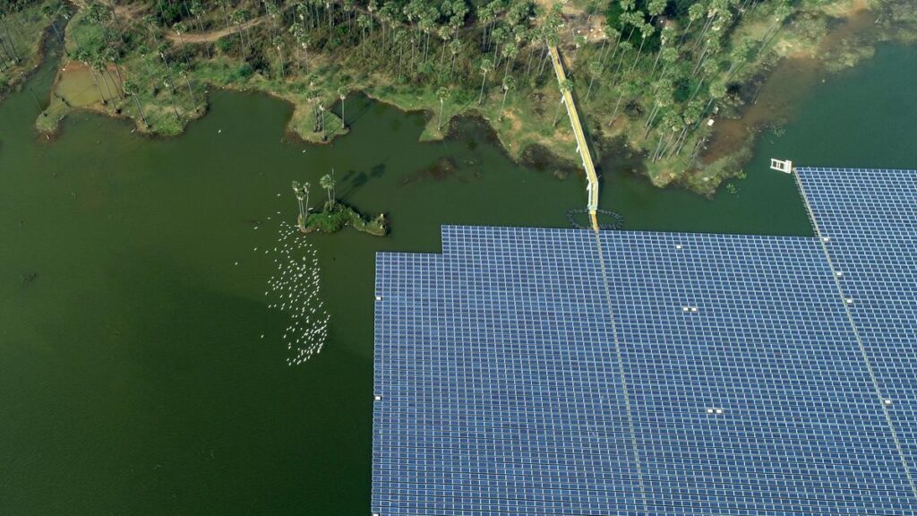 Solar dreams on lake waters: experts warn of disturbance to aquatic ecosystem