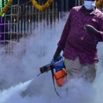 442 dengue cases this month, BBMP to launch campaign