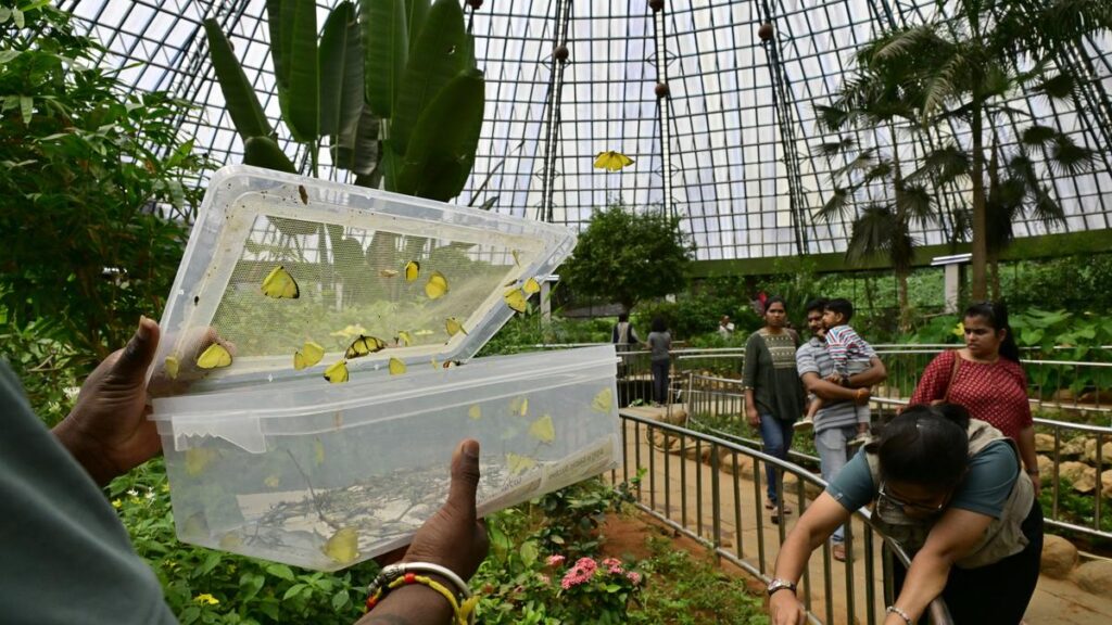 Entry fees for zoo at Bannerghatta Biological Park to be increased