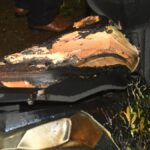 Neighbour sets couple on fire in Kochi; man critical, wife stable