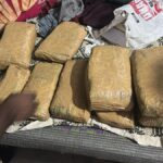 42 kg ganja seized, seven peddlers arrested