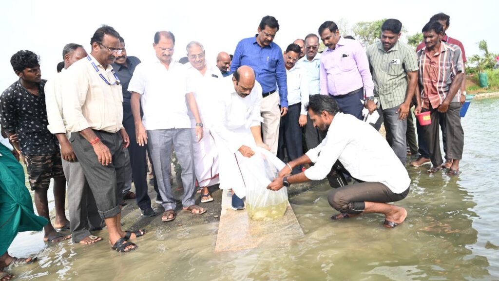 Rain revives fish farming in irrigation tank near Tiruvannamalai
