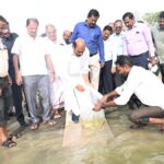 Rain revives fish farming in irrigation tank near Tiruvannamalai