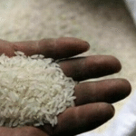 India eyes new export markets