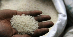 India eyes new export markets