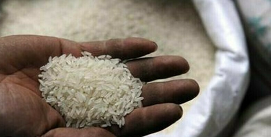 India eyes new export markets